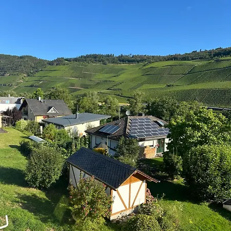 Moselappartements By Weingut Marco Adamy Losnich Экстерьер фото