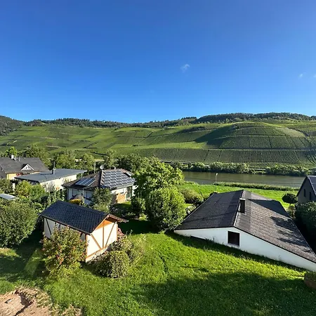 Moselappartements By Weingut Marco Adamy Losnich Экстерьер фото