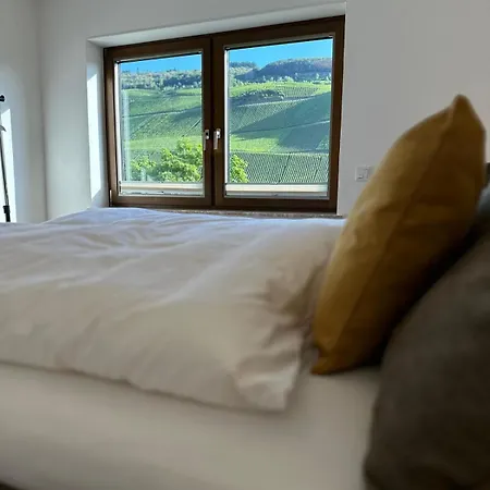 Moselappartements By Weingut Marco Adamy Losnich Экстерьер фото