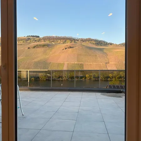 Moselappartements By Weingut Marco Adamy Losnich Экстерьер фото