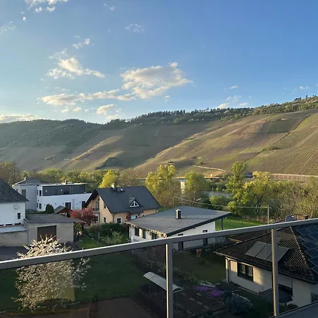 Moselappartements By Weingut Marco Adamy Losnich Экстерьер фото