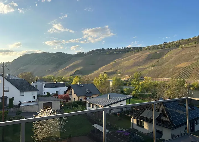 Moselappartements By Weingut Marco Adamy