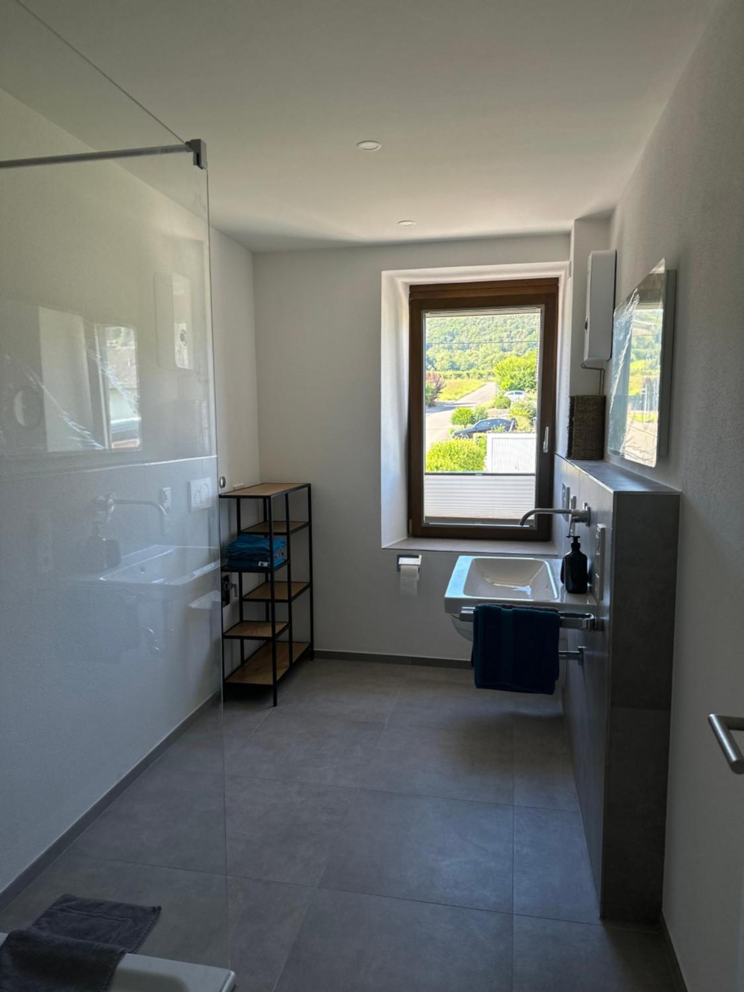 Apartment Moselappartements By Weingut Marco Adamy Lösnich
