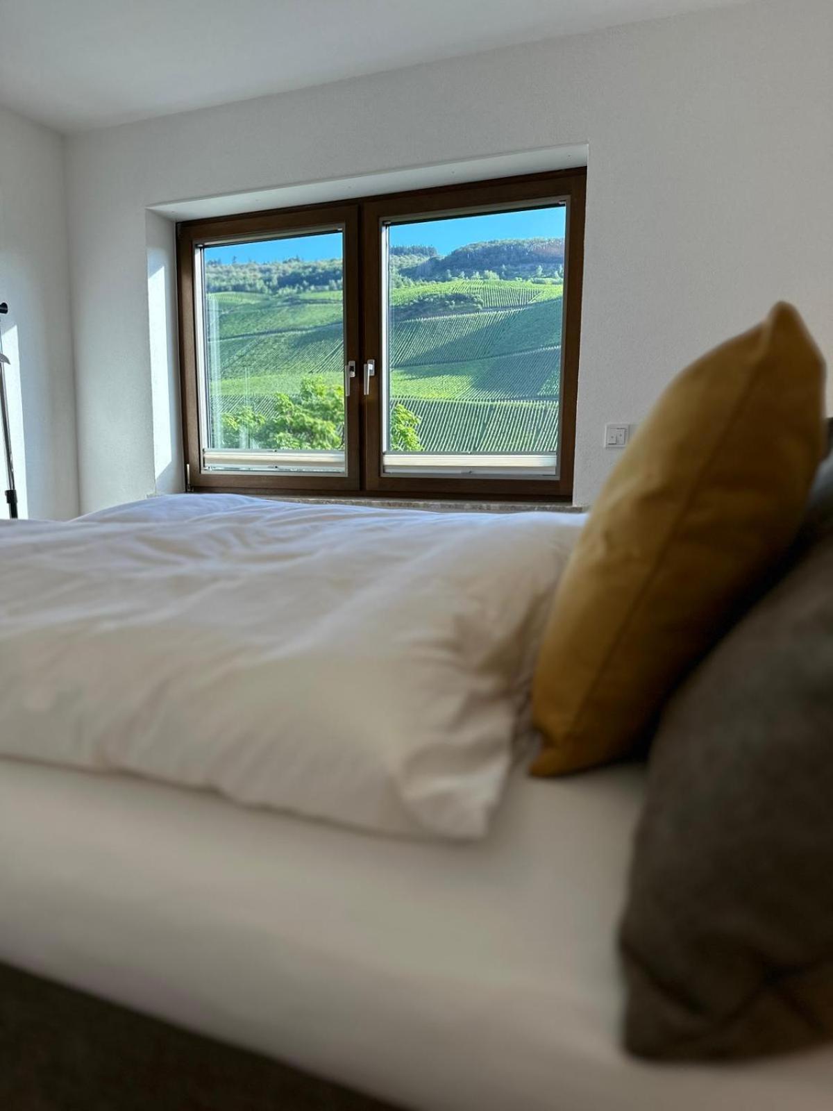 Moselappartements By Weingut Marco Adamy