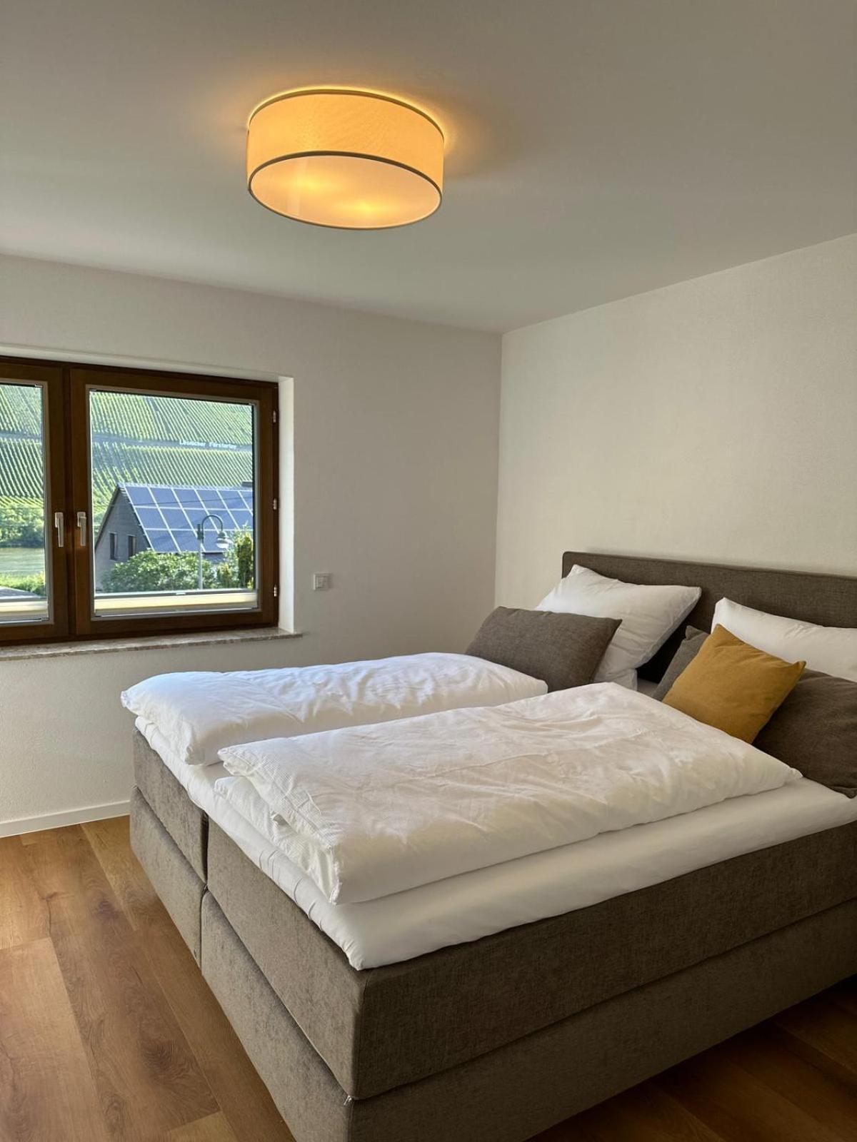 Apartment Moselappartements By Weingut Marco Adamy Lösnich